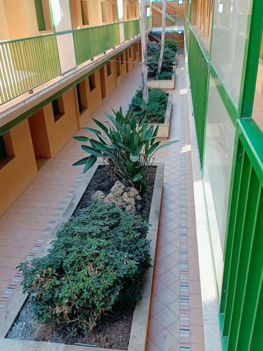 Apartment Rincon Del Delta, En El Delta Del Ebro, Playa Trabucador Amposta, Tarragona