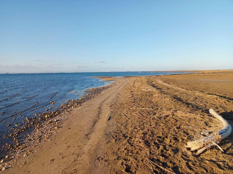 Rincon Del Delta, En El Delta Del Ebro, Amposta, Tarragona L'Eucaliptus