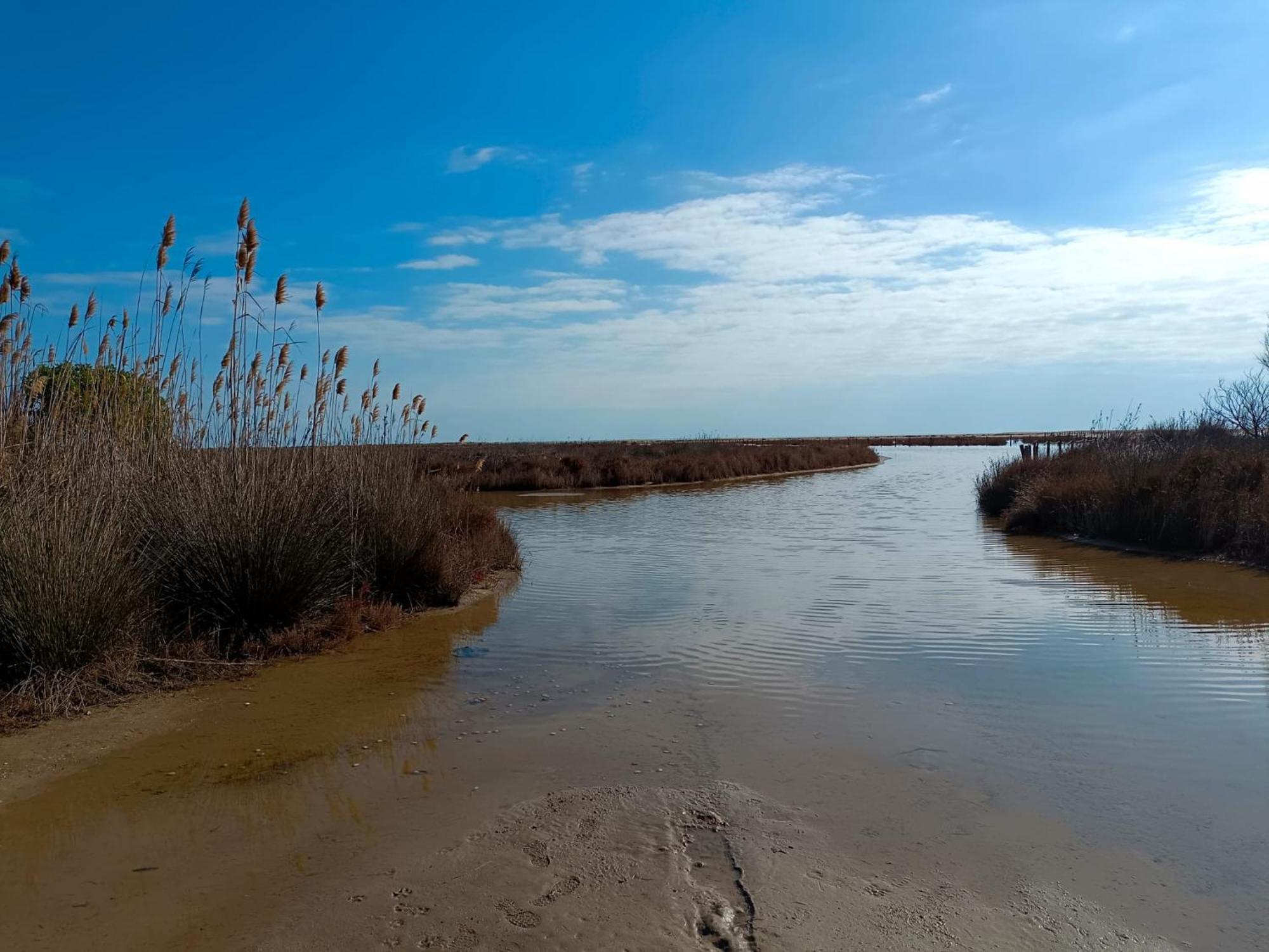 Rincon Del Delta, En El Delta Del Ebro, Playa Trabucador Amposta, Tarragona Appartamento *