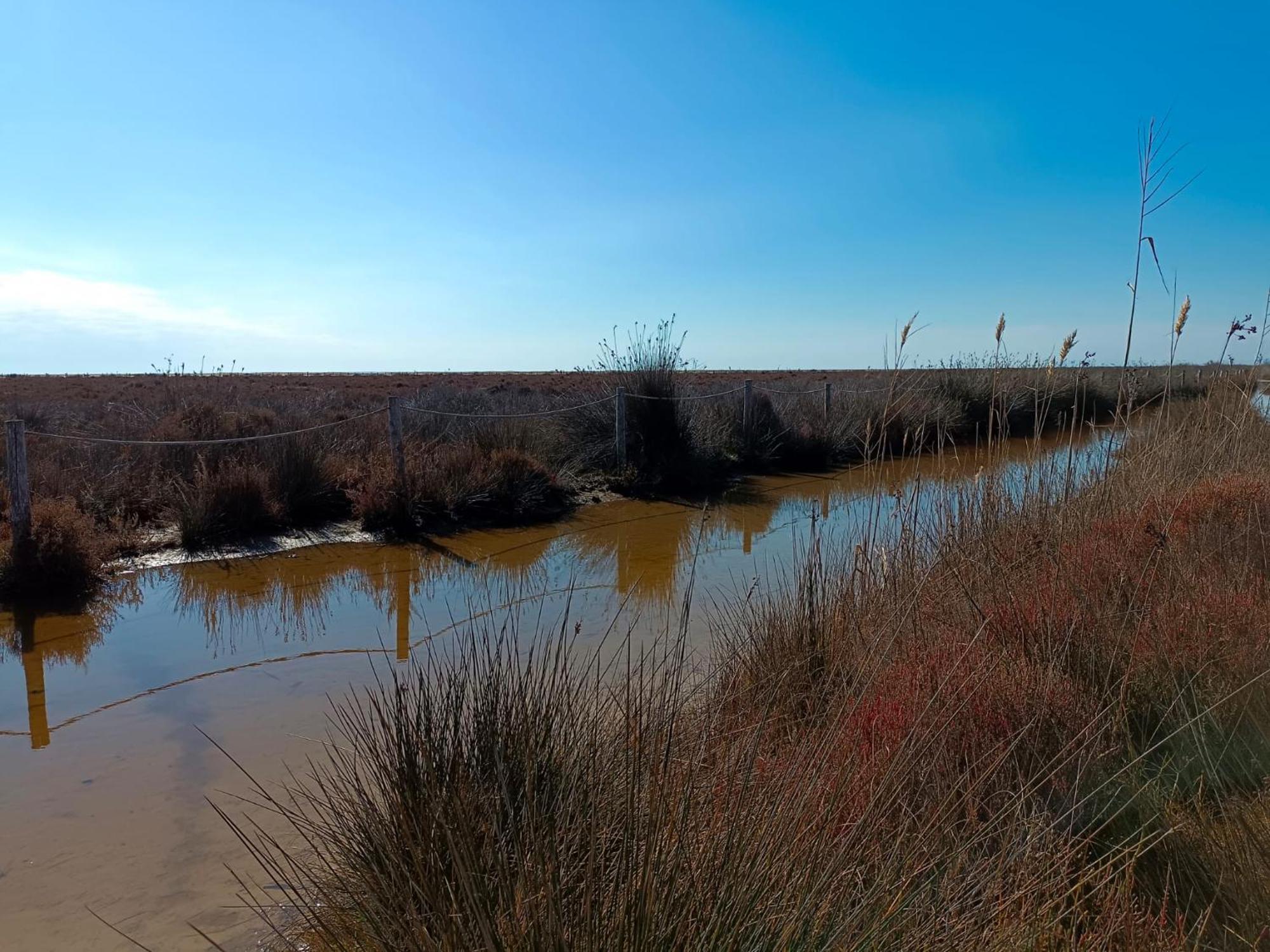 Rincon Del Delta, En El Delta Del Ebro, Playa Trabucador Amposta, Tarragona *